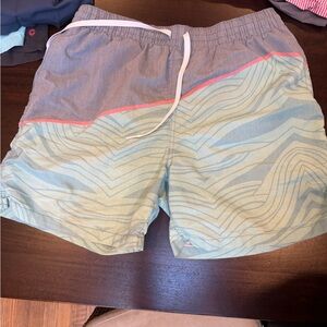 Chubbies Light Blue Swim Shorts